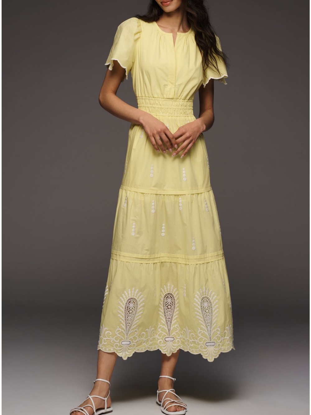 Anthropologie Somerset Maxi Dress (New)